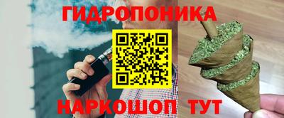 Альфа ПВП Гатчина