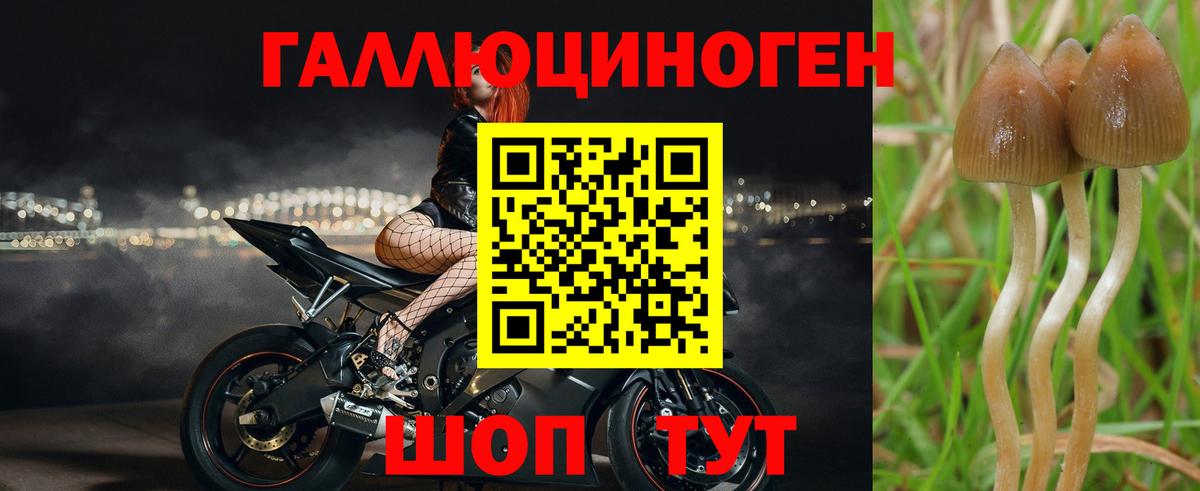 Галлюциногенные грибы ЛСД  Вход с VPN  Ирбит  Галлюциногенные грибы мицелий 